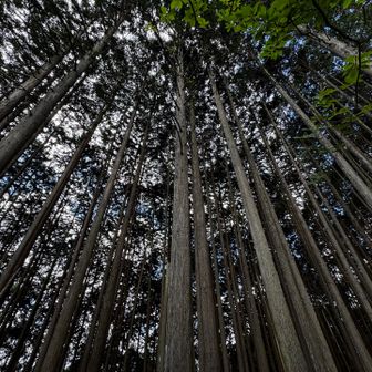 わ〜🍃風が抜けて気持ちイイ🍃