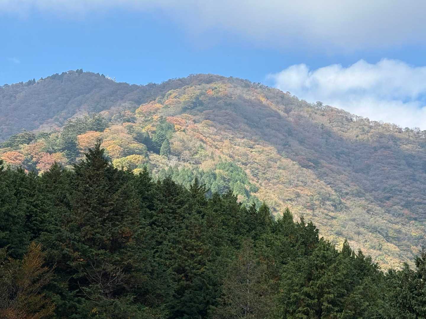 阿夫利神社下社-大山-見晴台 周回コースの写真
