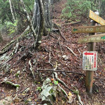 案内標識も要所要所に立っていて親切