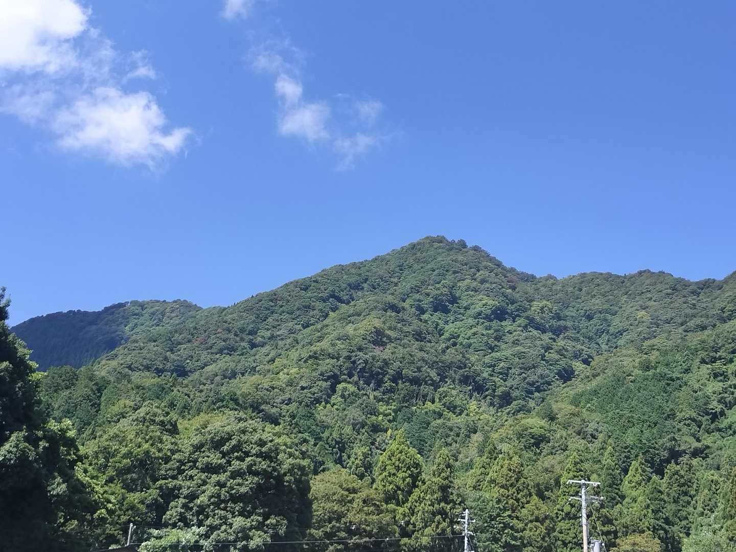 林道から東峰。