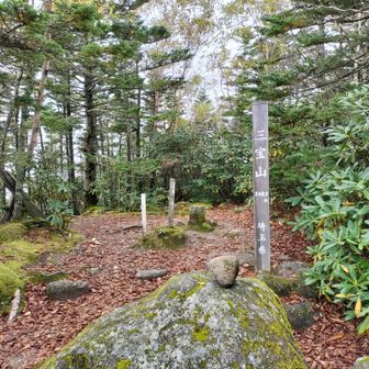 三宝山山頂　眺望なし