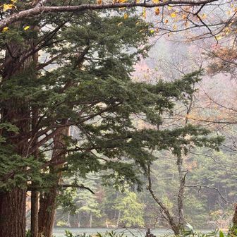 明神池には入園せず外から望む