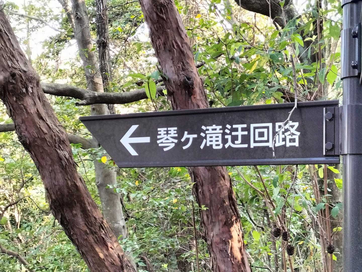 では、２回目😁
こちらの道、好きです✌️
迂回どころか　バッチリと滝を見ることが出来ます（笑）

ヤマレコは、登山スタートすると「24時間以内の登山を再開しますか」という案内が出て、「はい」にすると　続きとして記録される便利な機能があります
YAMAPにもあれば良いな