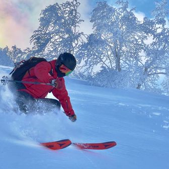 ヒマエナガさん