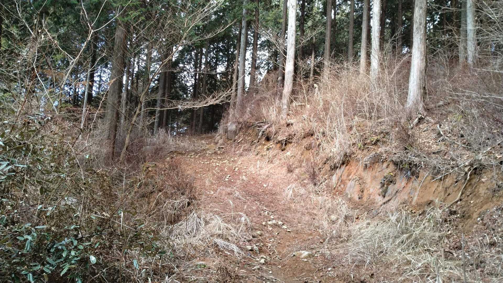 林道が続きます
