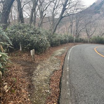 元の湖畔の道へ戻る