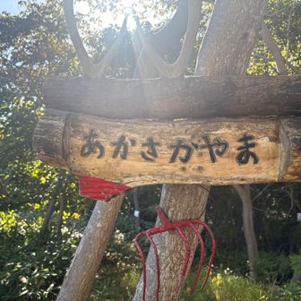 途中で赤坂さんが居て少しお話しを🐻
