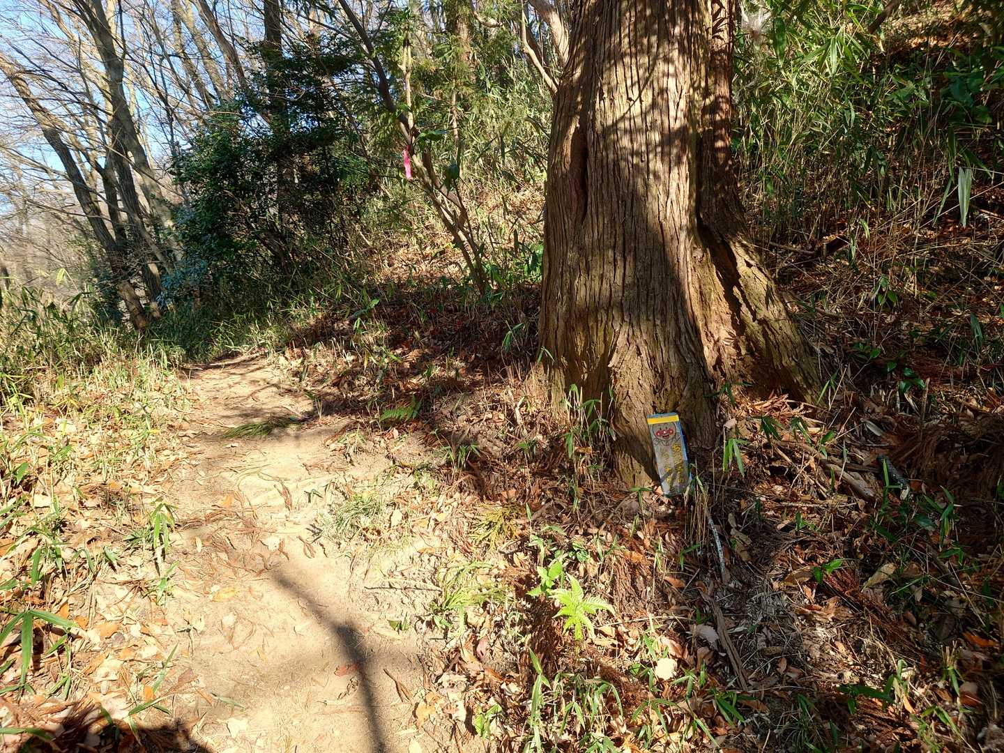 駅から来た道を少し戻って、ここから「おおみちハイキング道」へ。
道標によるとショートカットらしいです。