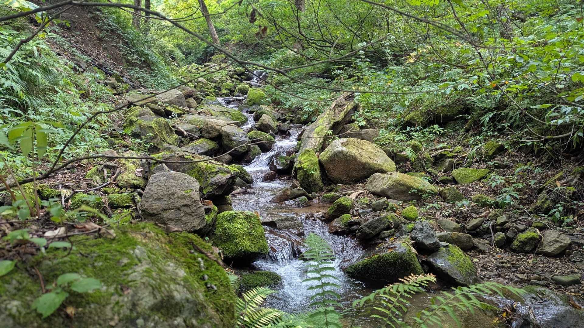 沢
