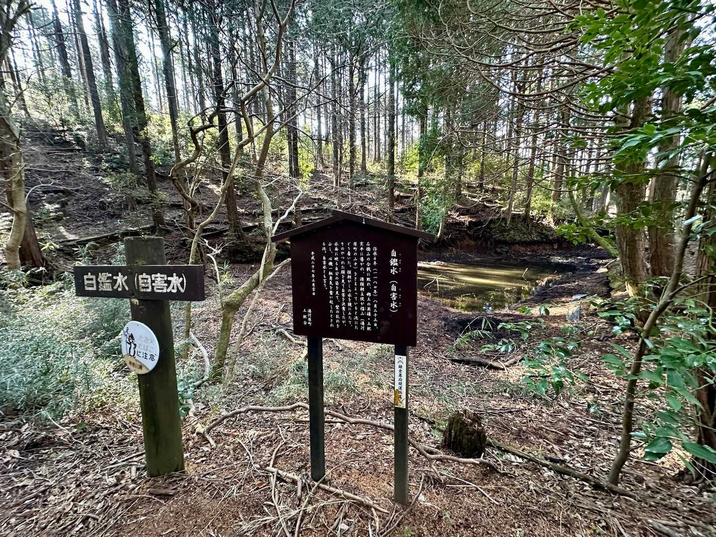 自鑑水(自害水)
敵に追われて敗走中の源頼朝が、この水に映る、やつれた自らの姿を見て自害しようかと思ったものの、映る自らの髪の乱れを直し心機一転気持ちを入れ直したという場所。ここで自害してたら鎌倉幕府はなかったんだなぁ…
今も水が溜まっていて、そのシーンが目に浮かぶ。この辺り一帯は追っ手から隠れて山中彷徨ったところ。アップダウンあるので大変だっただろうなぁ…