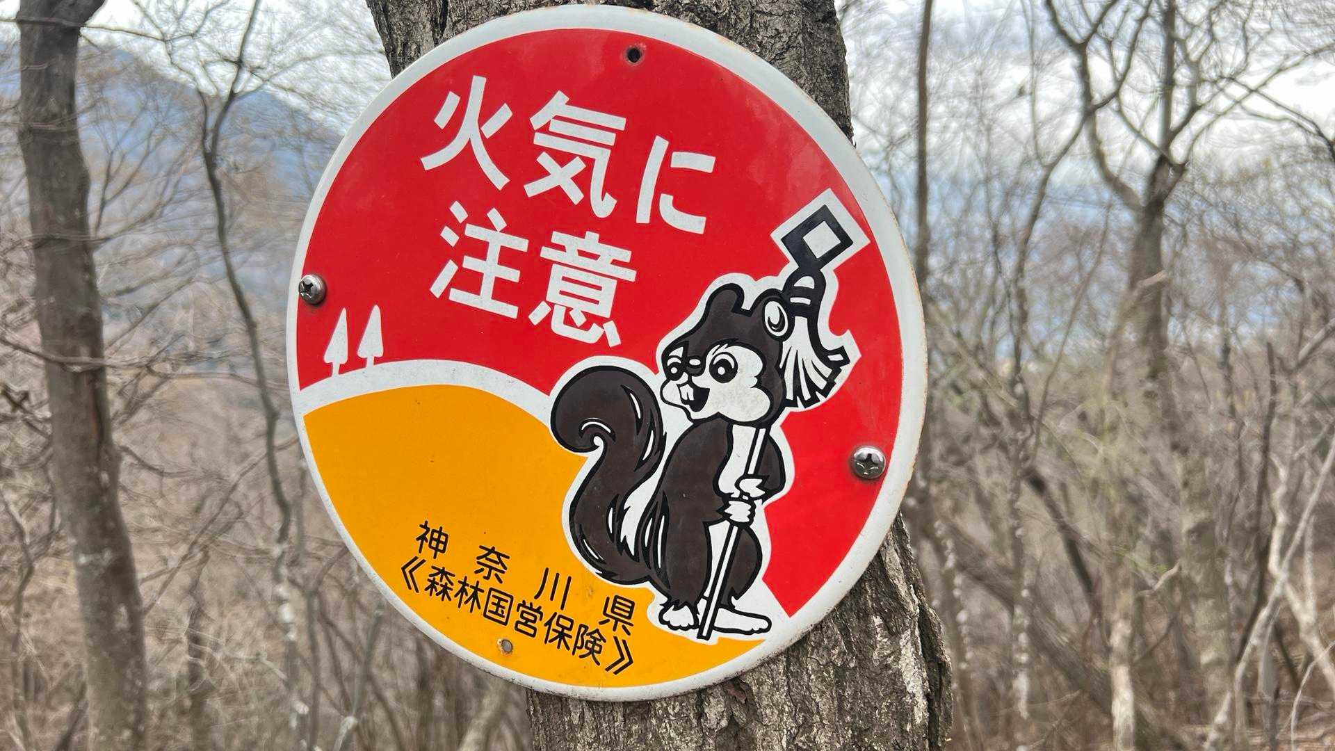 りすちゃん