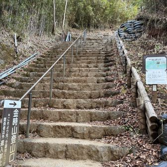 登山口まで降りてきました。
ここから仙石原のバス停までちょい歩きます