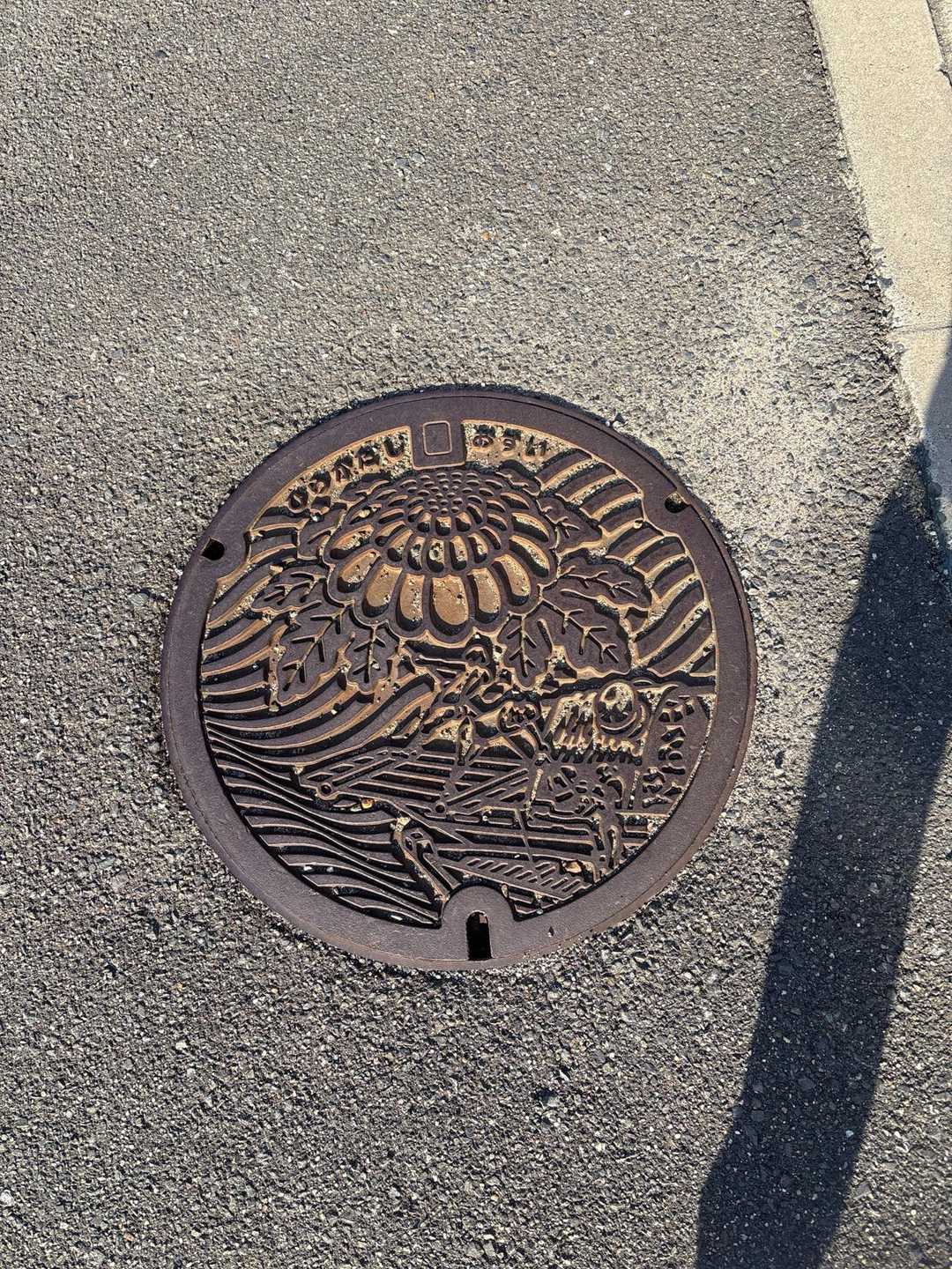 枚方市のマンホール…菊⁉️