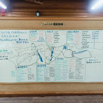 植物や動物の最新情報が書かれています。