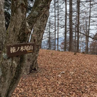 榛ノ木尾山（扇ツ平）
ここから激下りです
