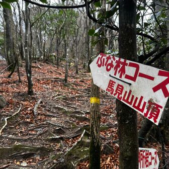 分岐まで出ました