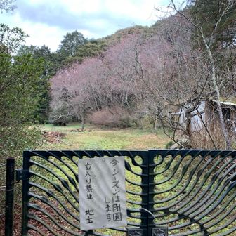 矢岳・城山 私有地で中に入れません。