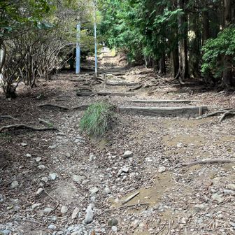 山頂までもうひと頑張り❗️