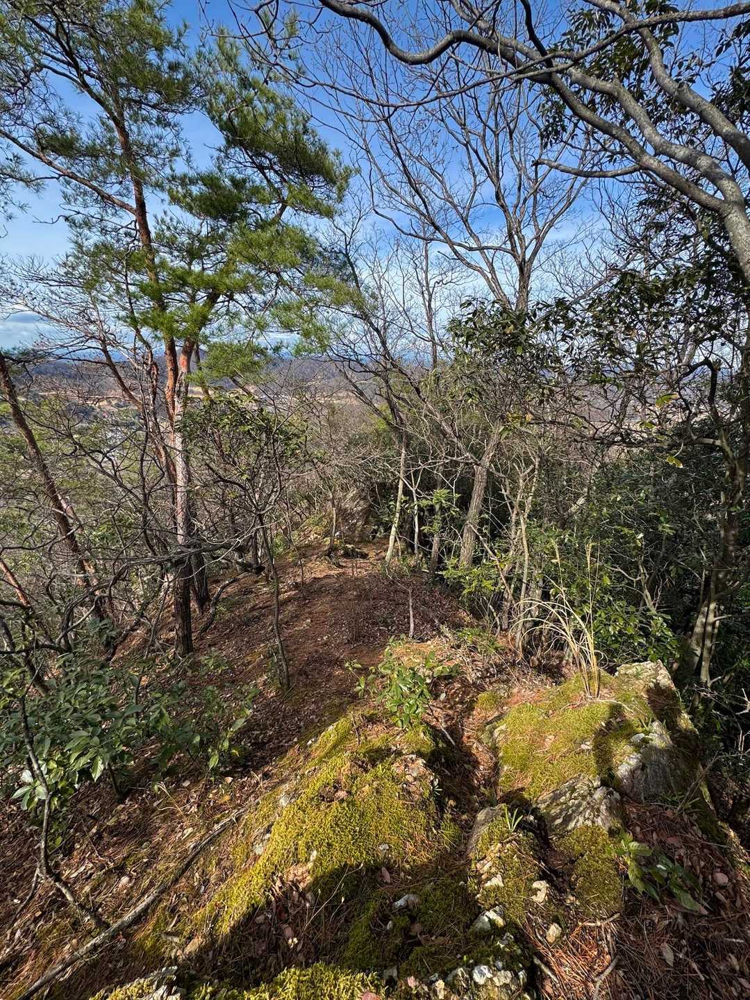 下山します

この岩の隙間で今年初のトカゲを見ました

そりゃ出てくるよね〜