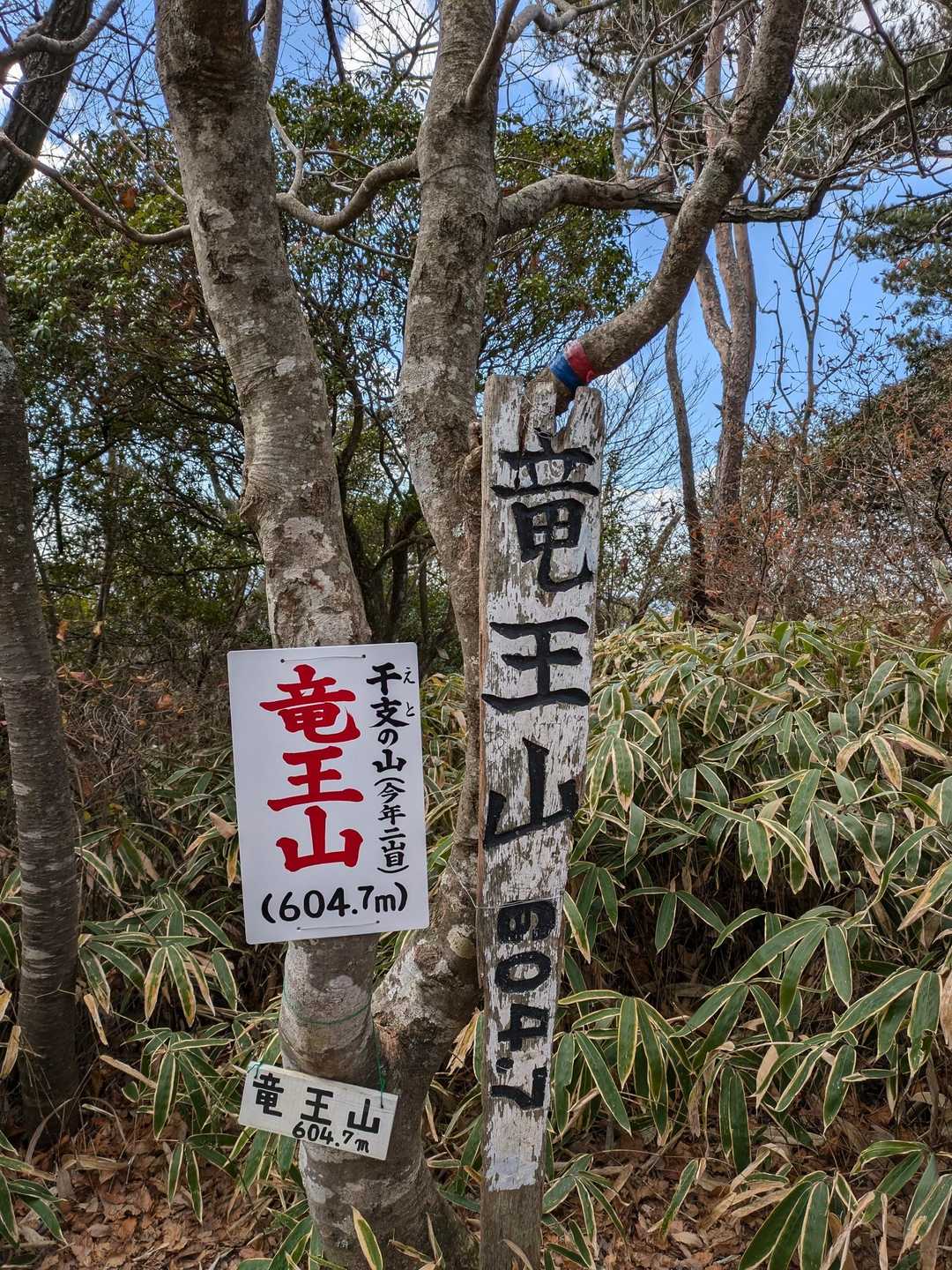 立派な山名板👍
今年最後の締めに相応しいお⛰️
一年間良く歩きました😊
歩いたお山全てに感謝致します🙇
