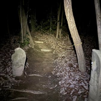 道端の地蔵が夜の奥行きを増してる気がする
肝試しの気分
とにかく登山道はヘッドランプがないとまともに登れないほど暗い