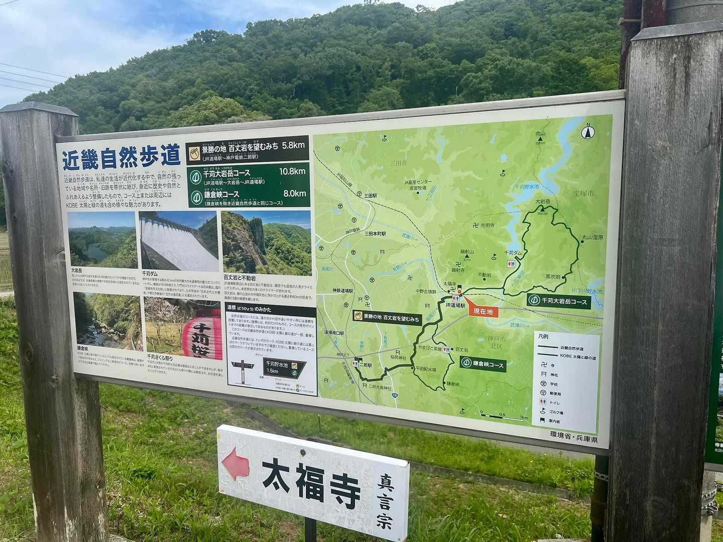 太陽と緑の道・千苅大岩岳コースの写真