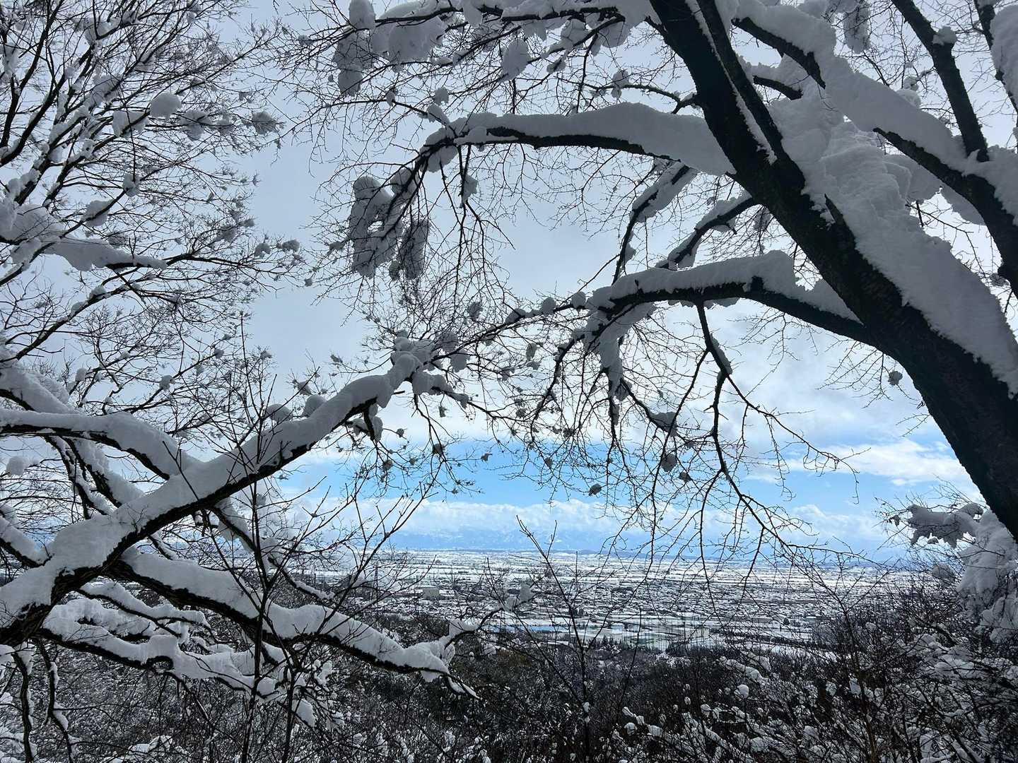 下二上遊歩道-二上山 往復コースの写真