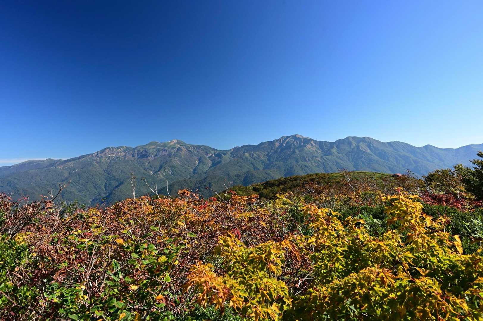 赤兎山往復 | 白山を間近に望む、赤池と高山植物が広がる福井唯一の高層湿原の写真