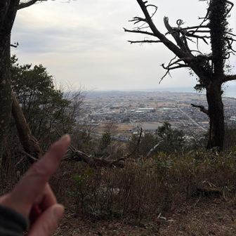 馬鬣山に到着🐴
今年は午年やからか、この山が人気なんかや？