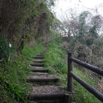 峠越え、キッツー‼️😫

しかし、歯を食いしばり頑張って登って行くと…