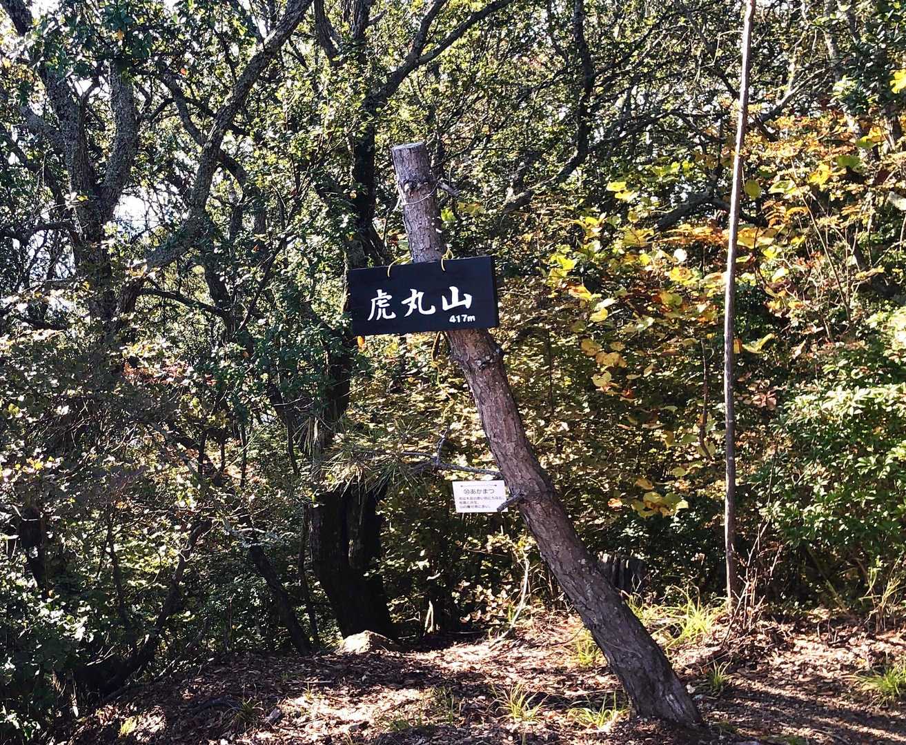 山頂に到着✌️