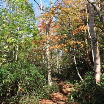 松川街道（会津中街道）沿いは色づき始め🍁