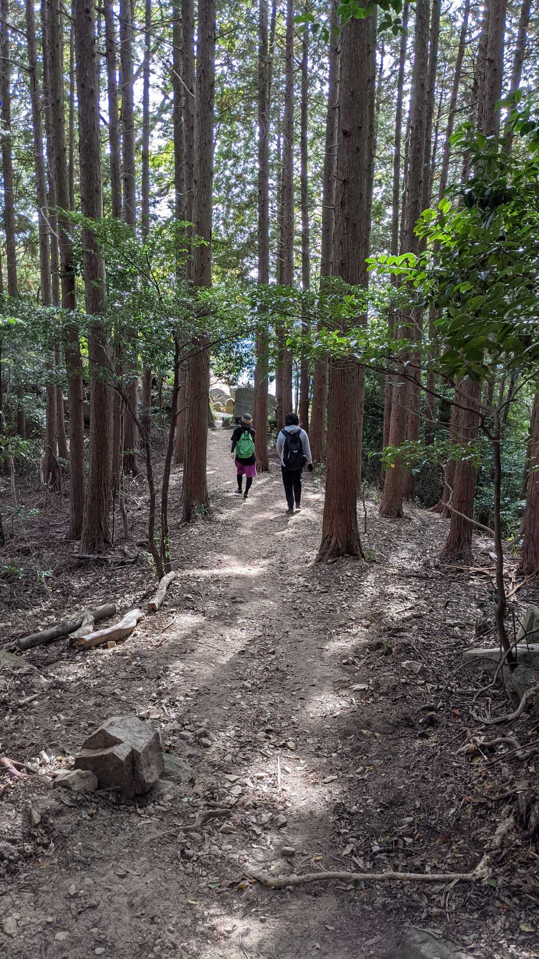 御門跡ストレート