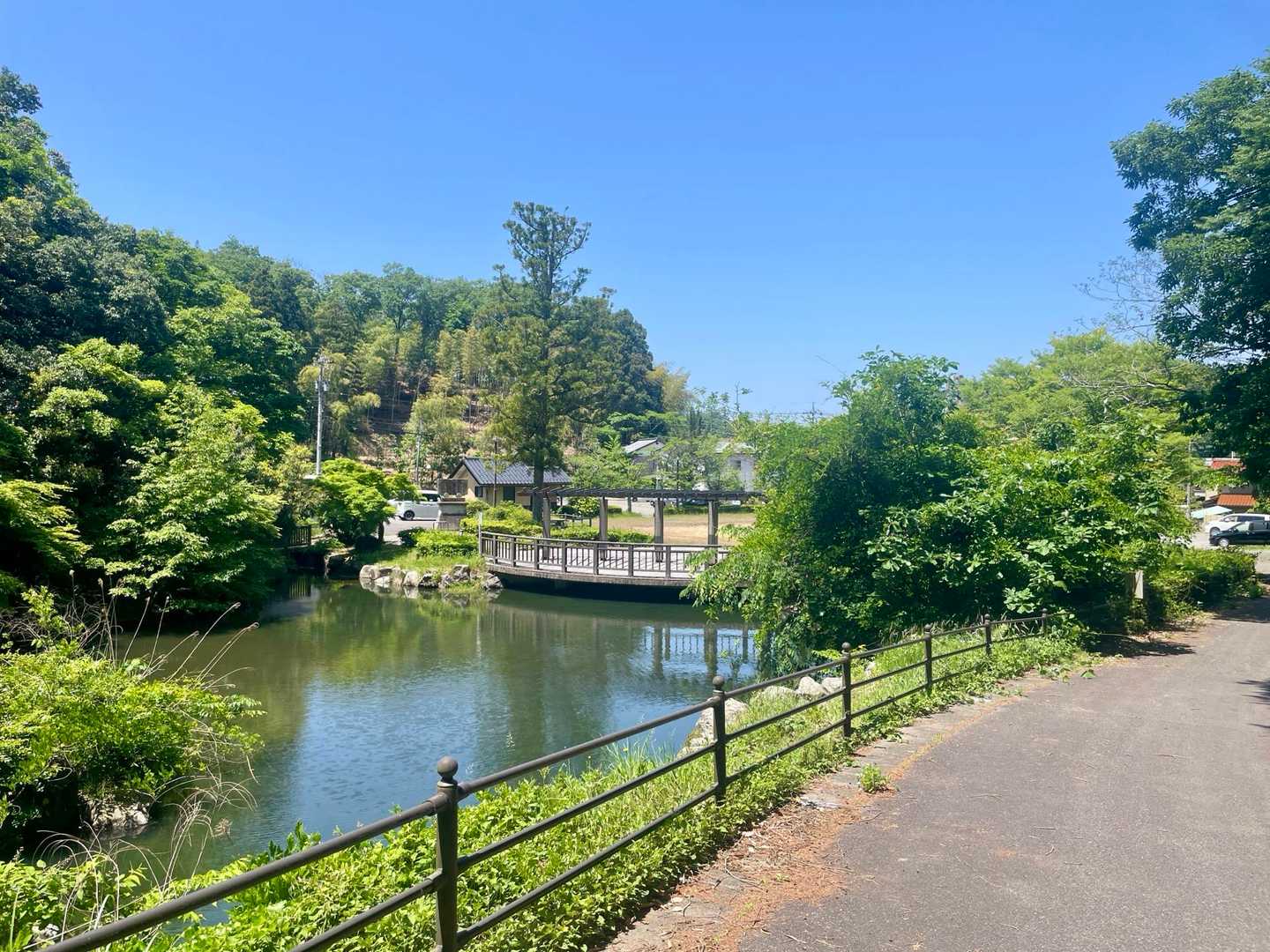 公園⛲️からスタート▶️