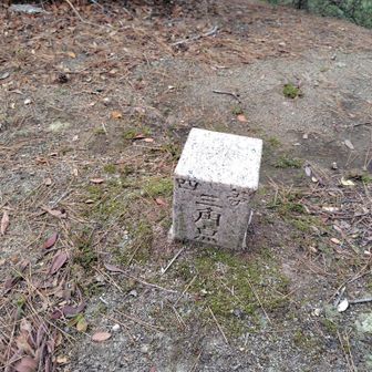 四等三角点があります。
ここからさらに先に進みました。