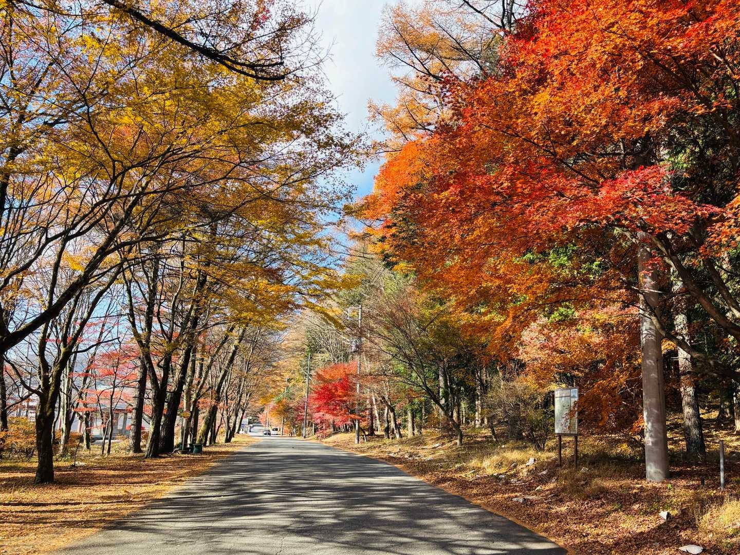 烏帽子岳登山口-烏帽子岳登山口バス停-榛名高原学校入口バス 周回コースの写真