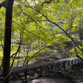 この橋を渡って川を越えます。