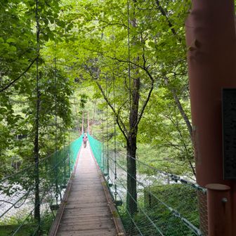 広河原に無事下山
乗合タクシーで芦安まで戻りましたが、ジャパンタクシーが来て、あまり待たずに帰れました（登山者3人でGo）

百名山もあと少し、残りも楽しんで回りたいと思います