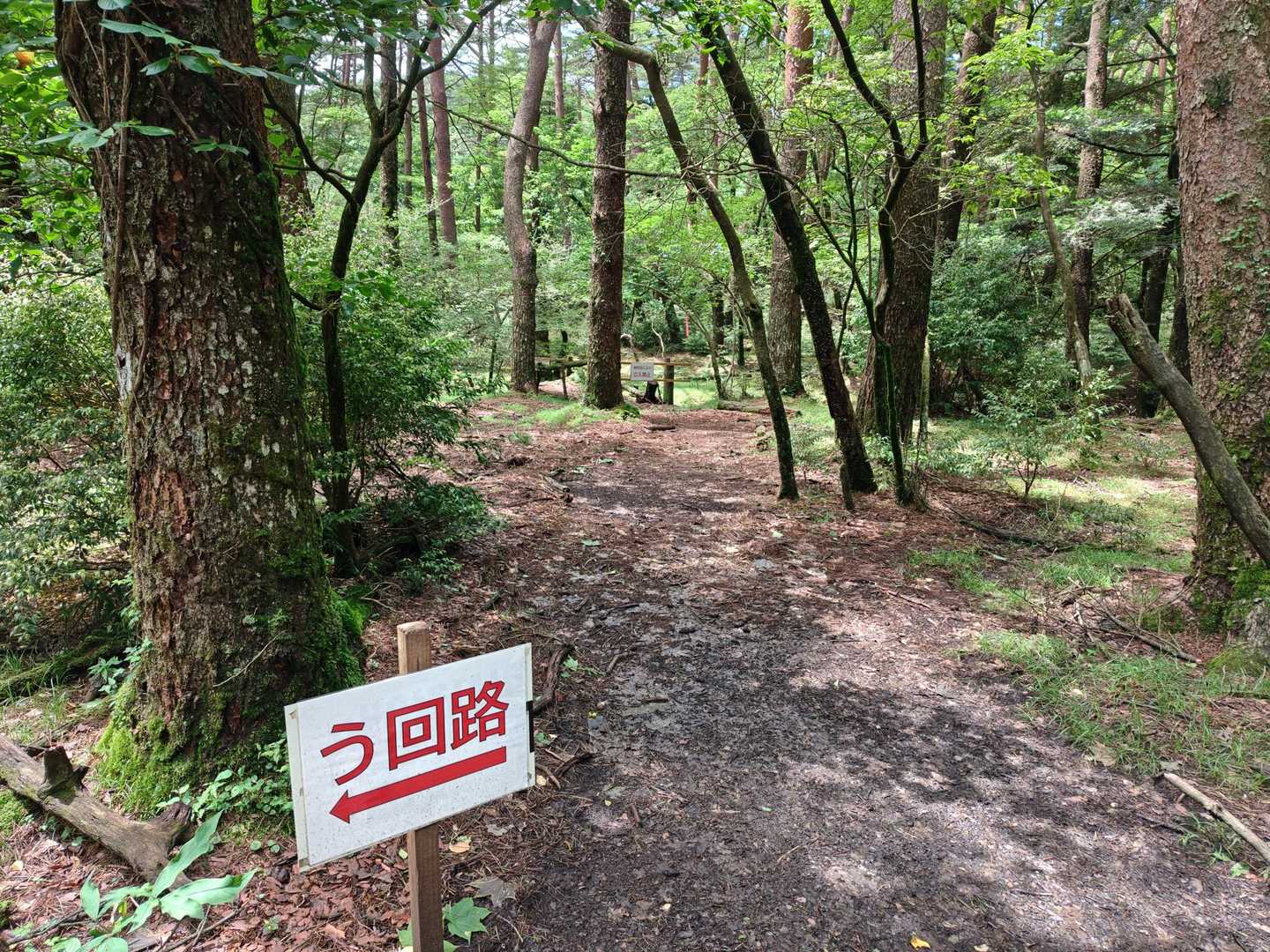 橋は渡れなくなってるので、いつも通り迂回🚶‍♀️
どんどん朽ちていっているのが、寂しくもあり🥲