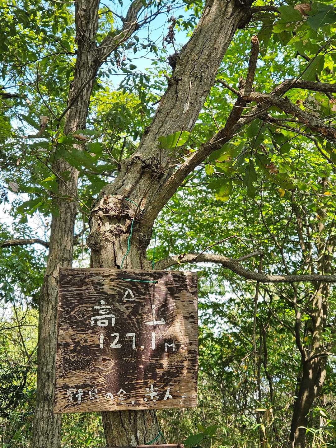 白雲谷温泉ゆぴか登山口-高山-日光峠-安場山 往復コースの写真
