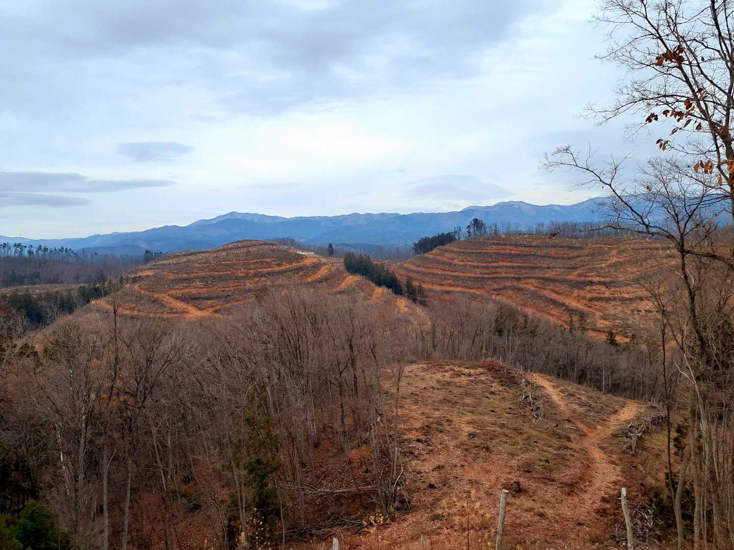 迷路みたいで楽しそう😁