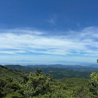 素晴らしいですな