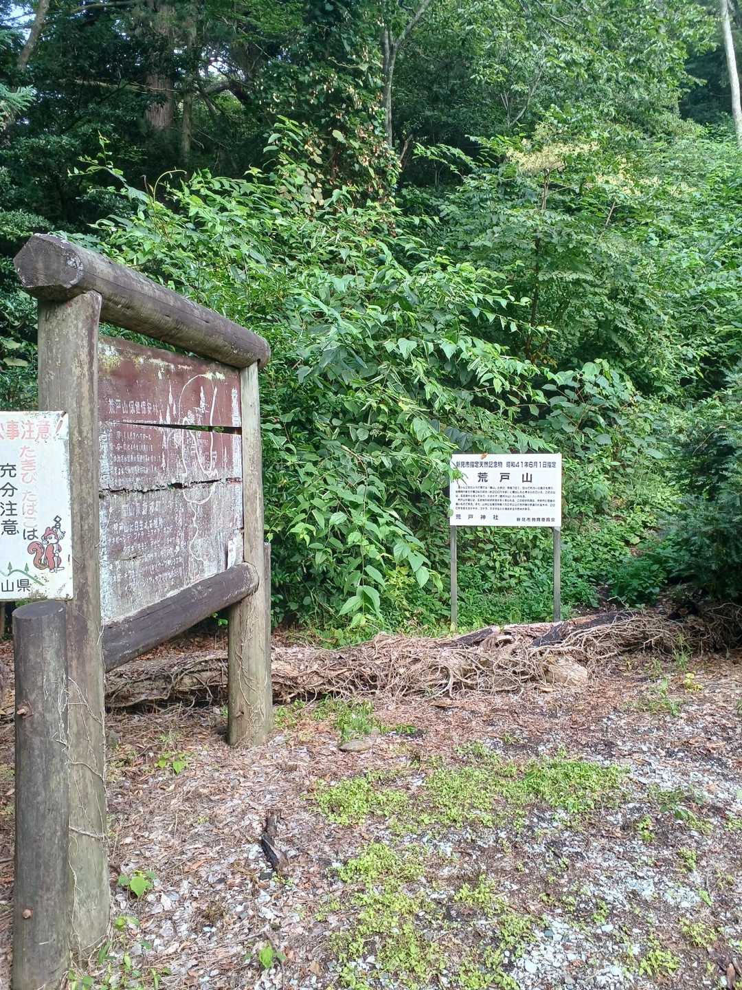こっから入るの？…けっこうヤブ🌿😣💦