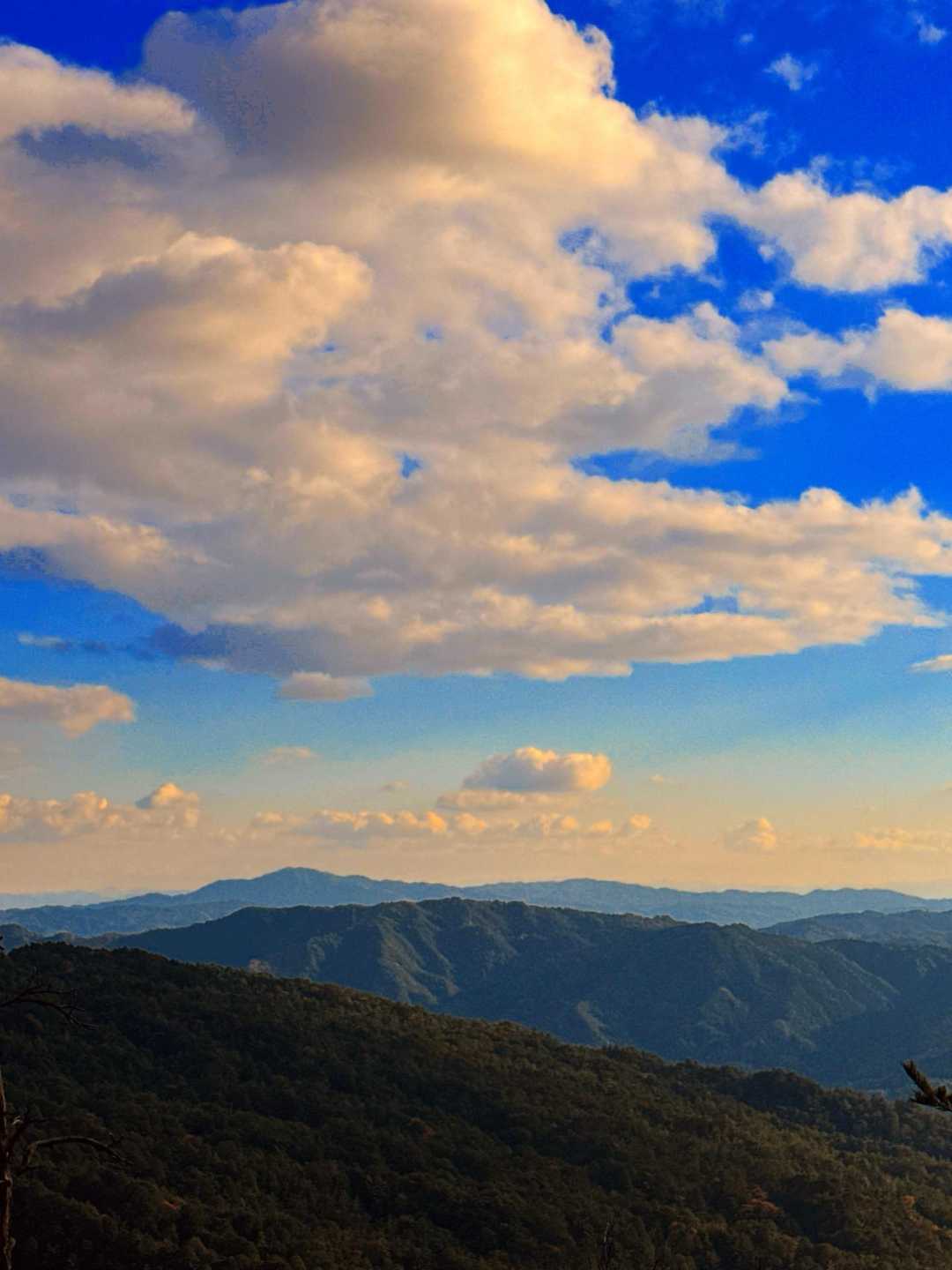 馬頭観音堂登山口-竜王山 往復コースの写真