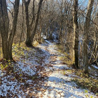 スタートから雪あり