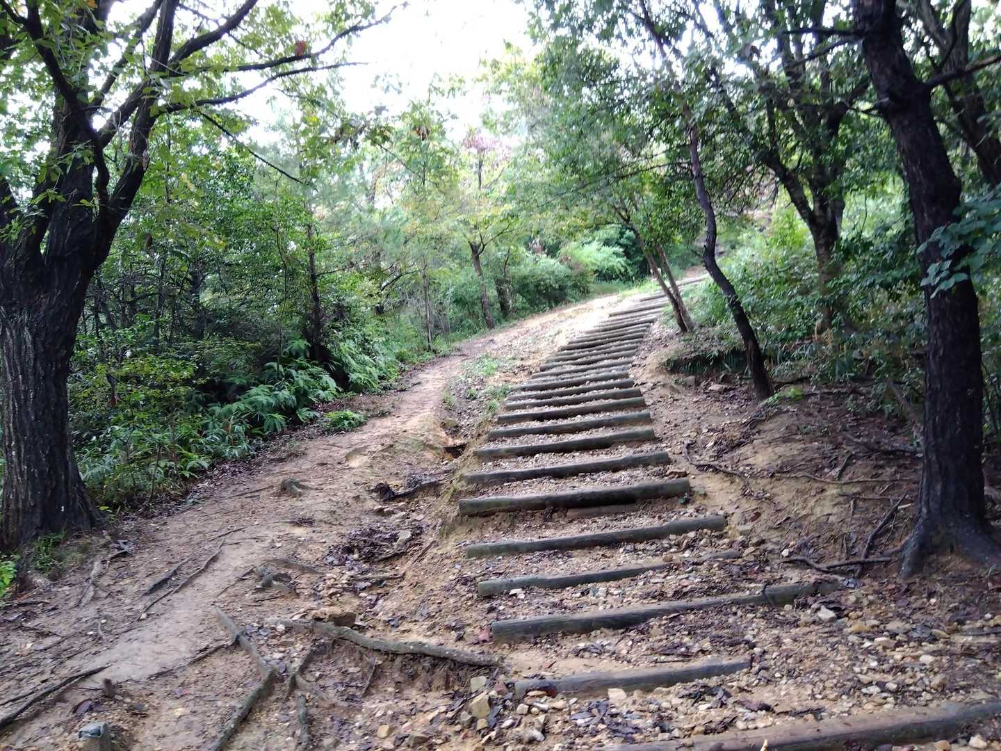 階段💦