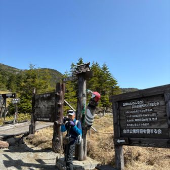 シンボルのキツツキ