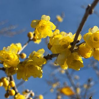 何枚も写真を撮る