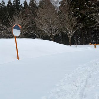 ここから車までしばらく歩きました