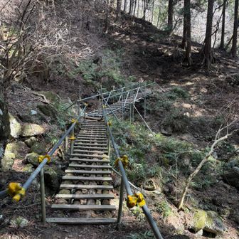 落ちない程度に隙間のある橋が2箇所、るんるん🎵